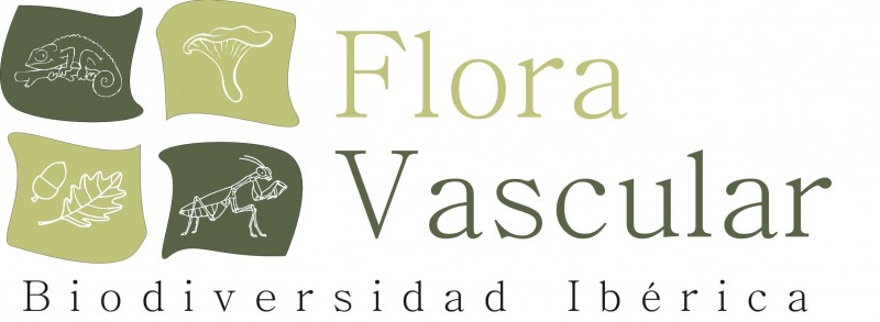 logoFloraV-1..jpg