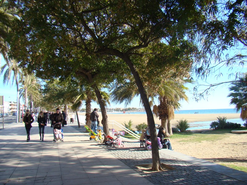 Playa Cambrils 1887.JPG