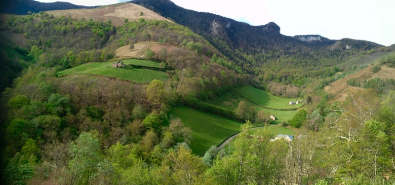 Prados y bosques.jpg