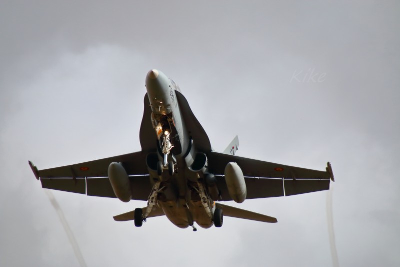 F-18 Hornet (1).jpg