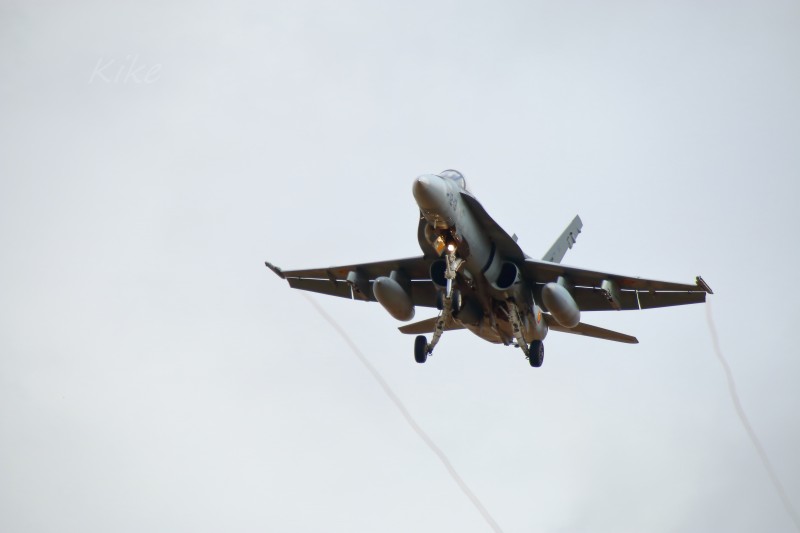 F-18 Hornet (4).jpg
